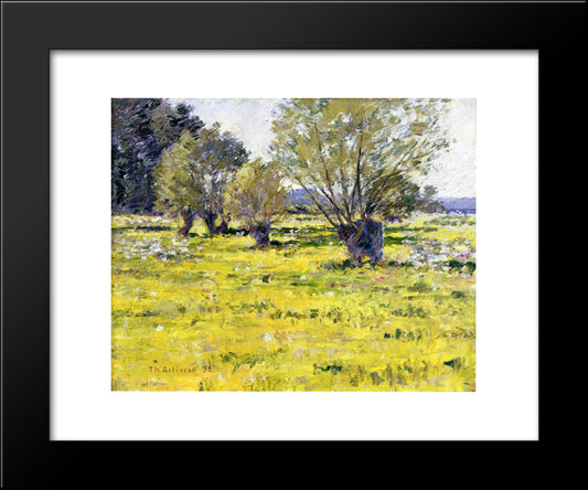 Willows And Wildflowers 20x24 Black Modern Wood Framed Art Print Poster by Robinson, Theodore