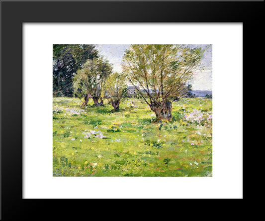 Willows And Wildflowers 20x24 Black Modern Wood Framed Art Print Poster by Robinson, Theodore