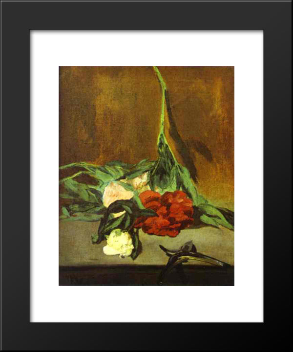 Peony Stem And Shears 20x24 Black Modern Wood Framed Art Print Poster by Manet, Edouard