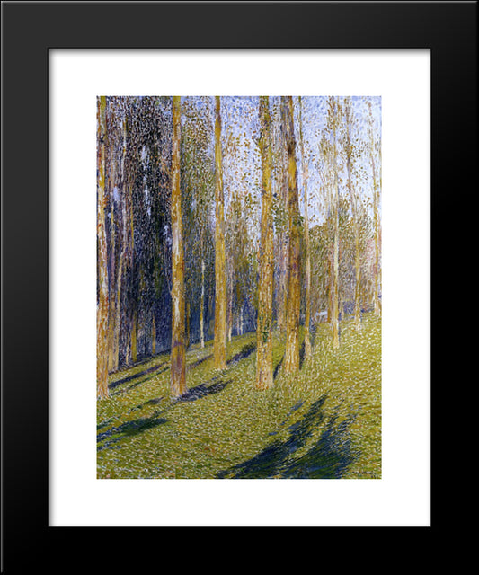 Forest 20x24 Black Modern Wood Framed Art Print Poster by Martin, Henri