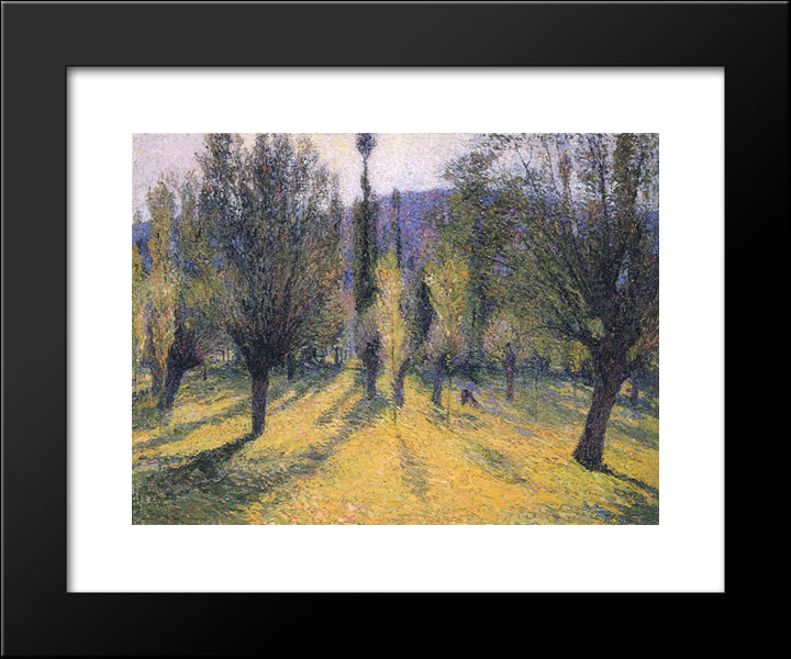 Sun Through The Poplar 20x24 Black Modern Wood Framed Art Print Poster by Martin, Henri