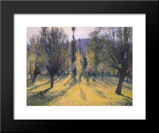 Sun Through The Poplar 20x24 Black Modern Wood Framed Art Print Poster by Martin, Henri