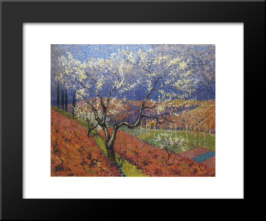 Trees In Flower 20x24 Black Modern Wood Framed Art Print Poster by Martin, Henri