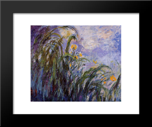Yellow Irises 20x24 Black Modern Wood Framed Art Print Poster by Monet, Claude