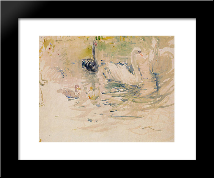 Swans 20x24 Black Modern Wood Framed Art Print Poster by Morisot, Berthe