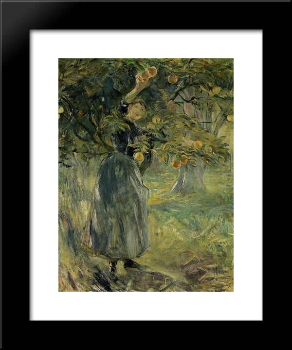 The Orange Picker 20x24 Black Modern Wood Framed Art Print Poster by Morisot, Berthe