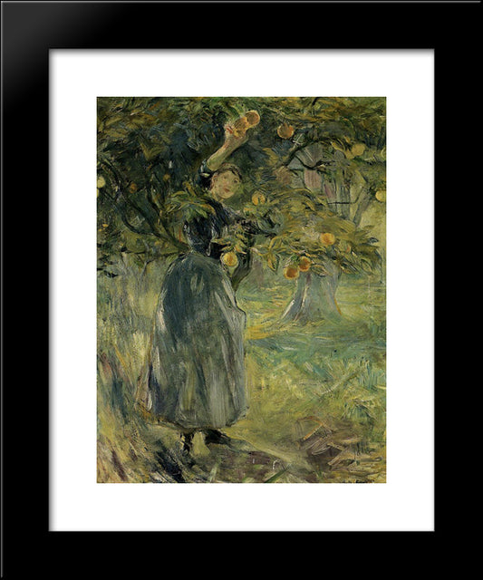 The Orange Picker 20x24 Black Modern Wood Framed Art Print Poster by Morisot, Berthe