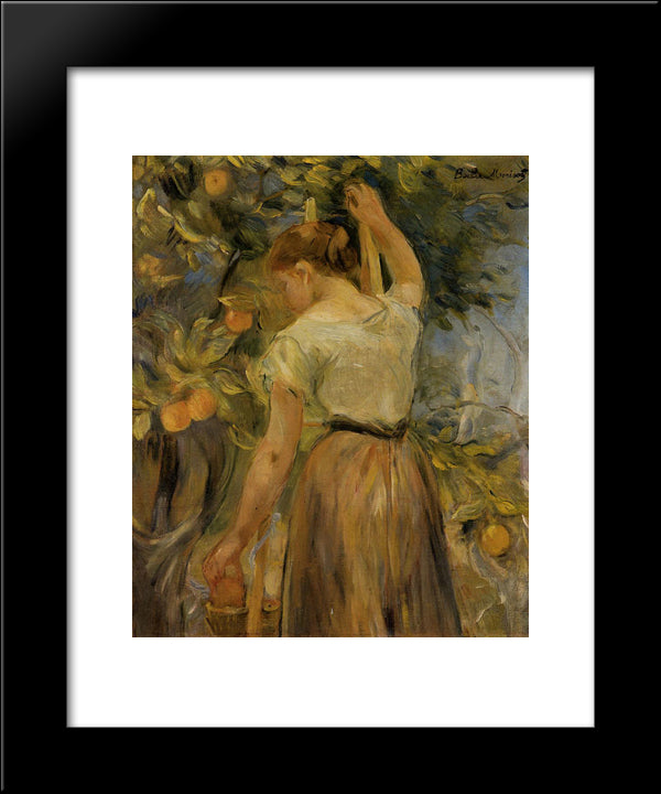 Young Woman Picking Oranges 20x24 Black Modern Wood Framed Art Print Poster by Morisot, Berthe