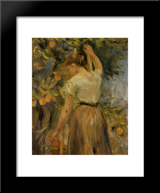Young Woman Picking Oranges 20x24 Black Modern Wood Framed Art Print Poster by Morisot, Berthe