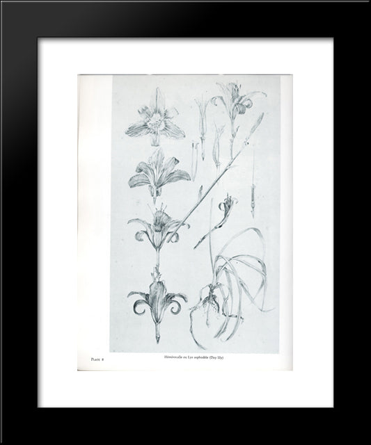 Untitled 20x24 Black Modern Wood Framed Art Print Poster by Mucha, Alphonse