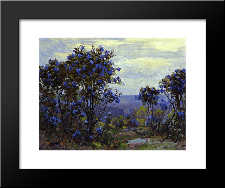 Mountain Laurel In Bloom 20x24 Black Modern Wood Framed Art Print Poster by Onderdonk, Robert Julian