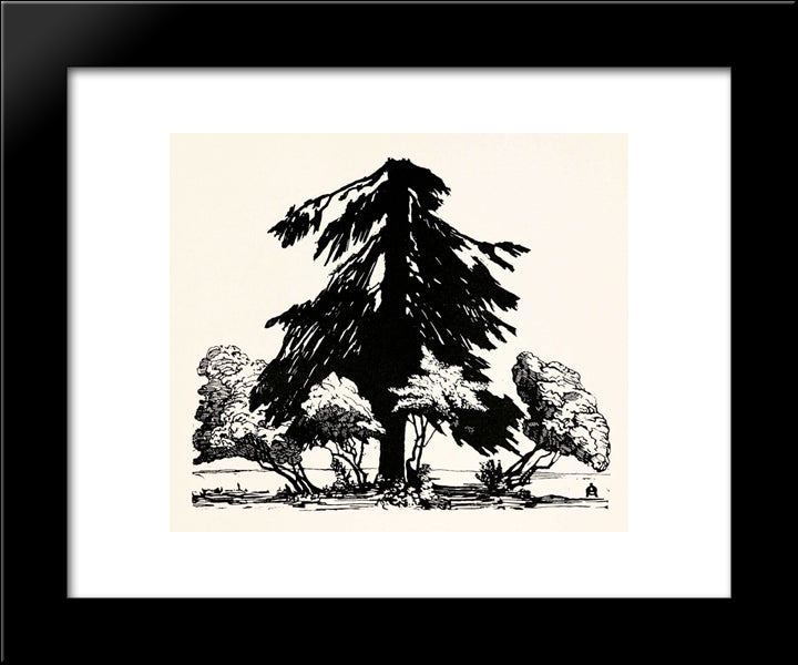 Pine Tree 20x24 Black Modern Wood Framed Art Print Poster by Ostroumova Lebedeva, Anna