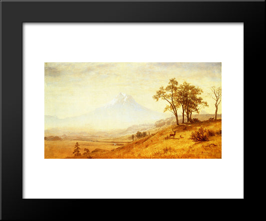 Mount Hood 20x24 Black Modern Wood Framed Art Print Poster by Bierstadt, Albert