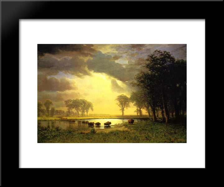 The Buffalo Trail 20x24 Black Modern Wood Framed Art Print Poster by Bierstadt, Albert
