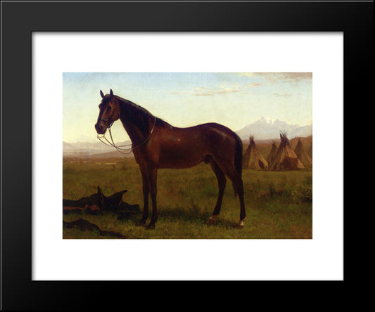 Portrait Of A Horse 20x24 Black Modern Wood Framed Art Print Poster by Bierstadt, Albert