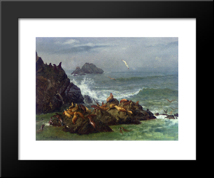 Seal Rocks, Pacific Ocean, California 20x24 Black Modern Wood Framed Art Print Poster by Bierstadt, Albert