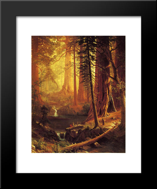 Giant Redwood Trees Of California 20x24 Black Modern Wood Framed Art Print Poster by Bierstadt, Albert