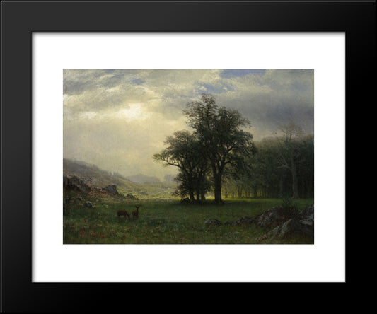 The Open Glen 20x24 Black Modern Wood Framed Art Print Poster by Bierstadt, Albert