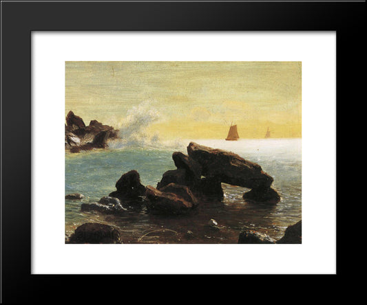 Farralon Islands, California 20x24 Black Modern Wood Framed Art Print Poster by Bierstadt, Albert