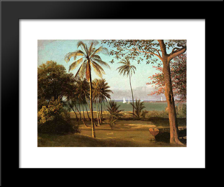 Florida Scene 20x24 Black Modern Wood Framed Art Print Poster by Bierstadt, Albert