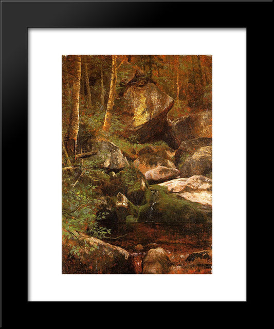 Forest Stream 20x24 Black Modern Wood Framed Art Print Poster by Bierstadt, Albert