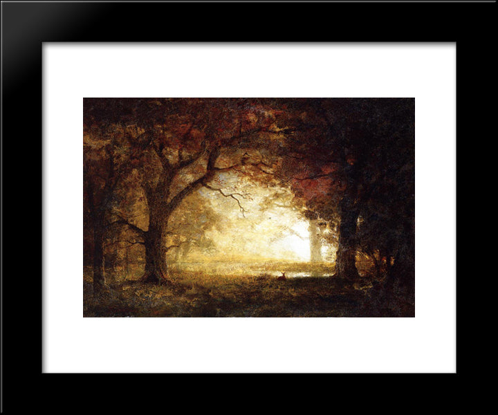 Forest Sunrise 20x24 Black Modern Wood Framed Art Print Poster by Bierstadt, Albert