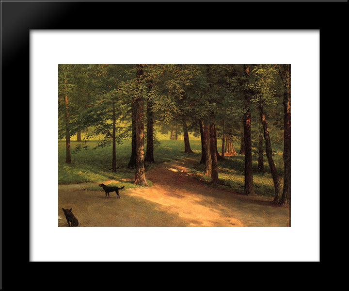 Irvington Woods 20x24 Black Modern Wood Framed Art Print Poster by Bierstadt, Albert