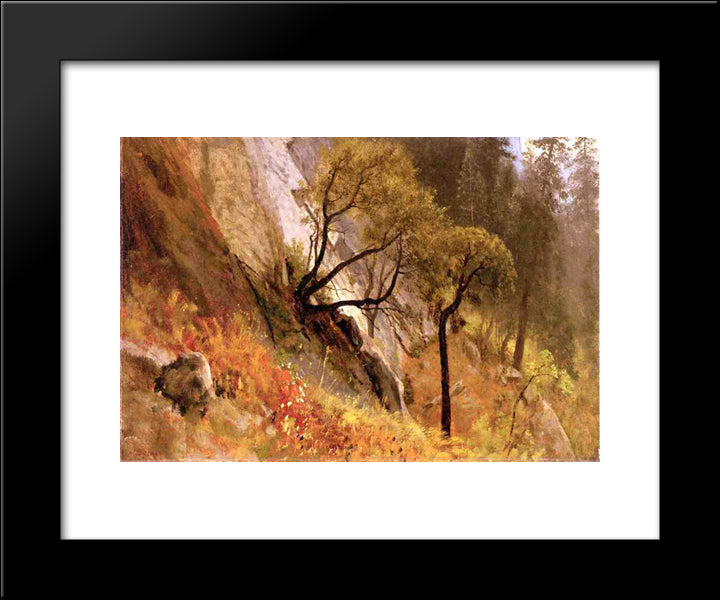 Landscape Study. Yosemite, California 20x24 Black Modern Wood Framed Art Print Poster by Bierstadt, Albert