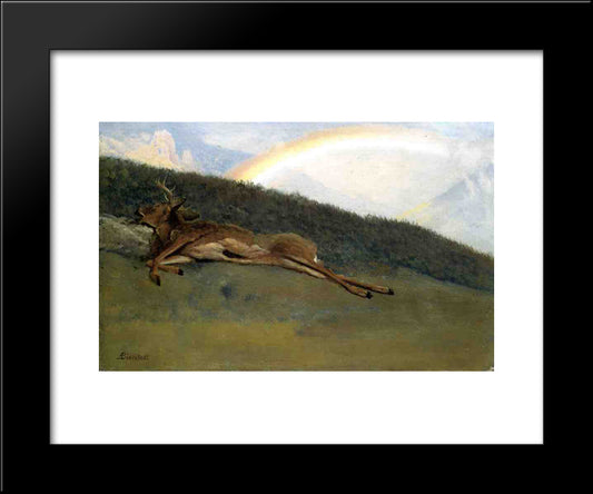 Rainbow Over A Fallen Stag 20x24 Black Modern Wood Framed Art Print Poster by Bierstadt, Albert