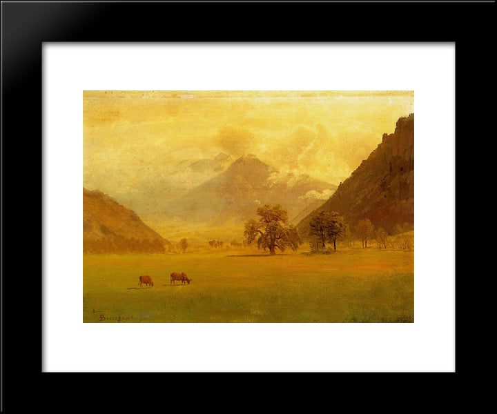 Rhone Valley 20x24 Black Modern Wood Framed Art Print Poster by Bierstadt, Albert
