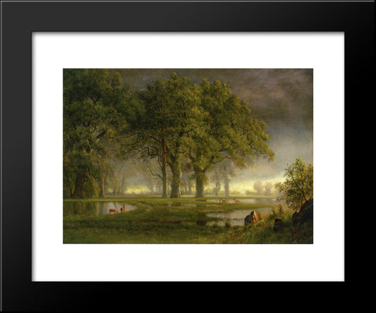Sunglow 20x24 Black Modern Wood Framed Art Print Poster by Bierstadt, Albert