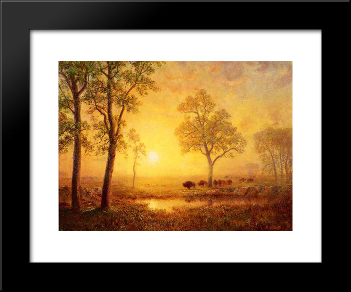 Sunset On The Mountain 20x24 Black Modern Wood Framed Art Print Poster by Bierstadt, Albert