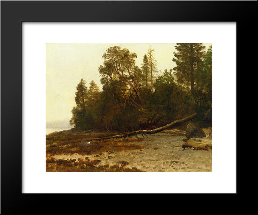 The Fallen Tree 20x24 Black Modern Wood Framed Art Print Poster by Bierstadt, Albert