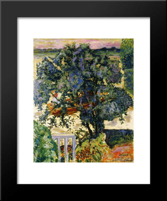 Tree By The River 20x24 Black Modern Wood Framed Art Print Poster by Bonnard, Pierre