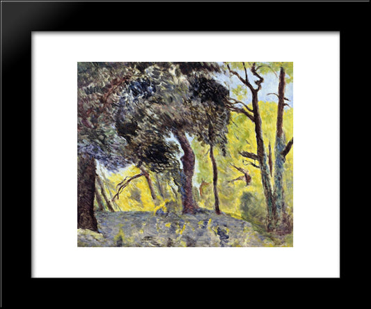 In The Woods (Study) 20x24 Black Modern Wood Framed Art Print Poster by Bonnard, Pierre