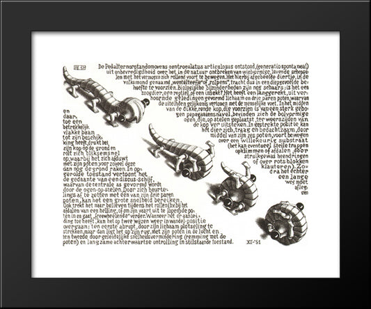 Curl Up 20x24 Black Modern Wood Framed Art Print Poster by Escher, M.C.