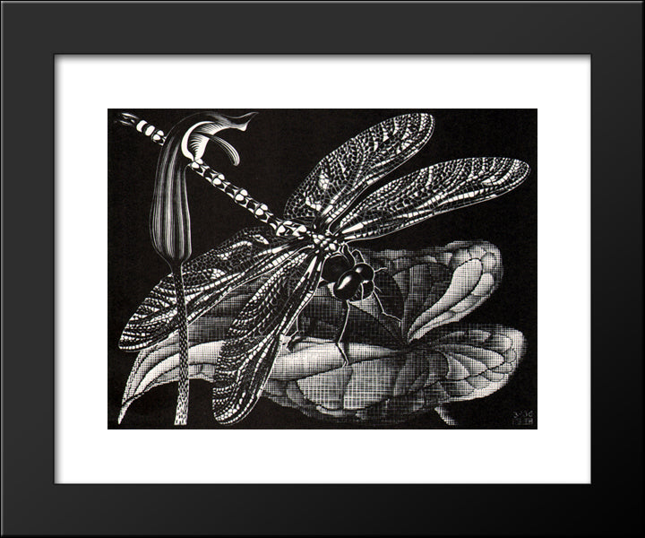 Dragonfly 20x24 Black Modern Wood Framed Art Print Poster by Escher, M.C.