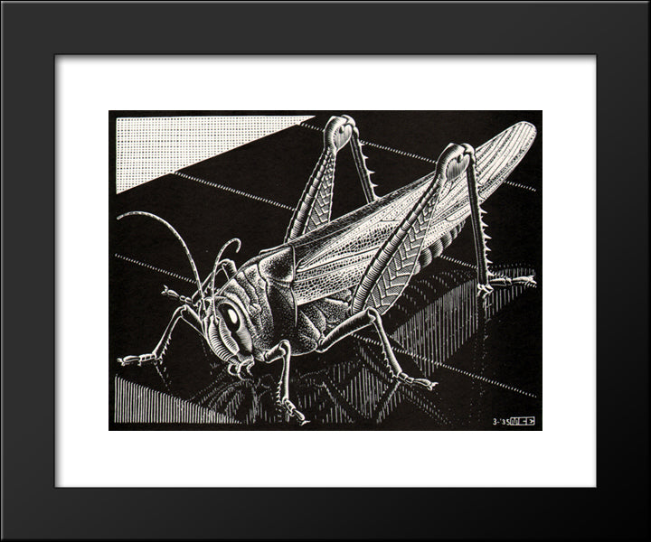 Grasshopper 20x24 Black Modern Wood Framed Art Print Poster by Escher, M.C.