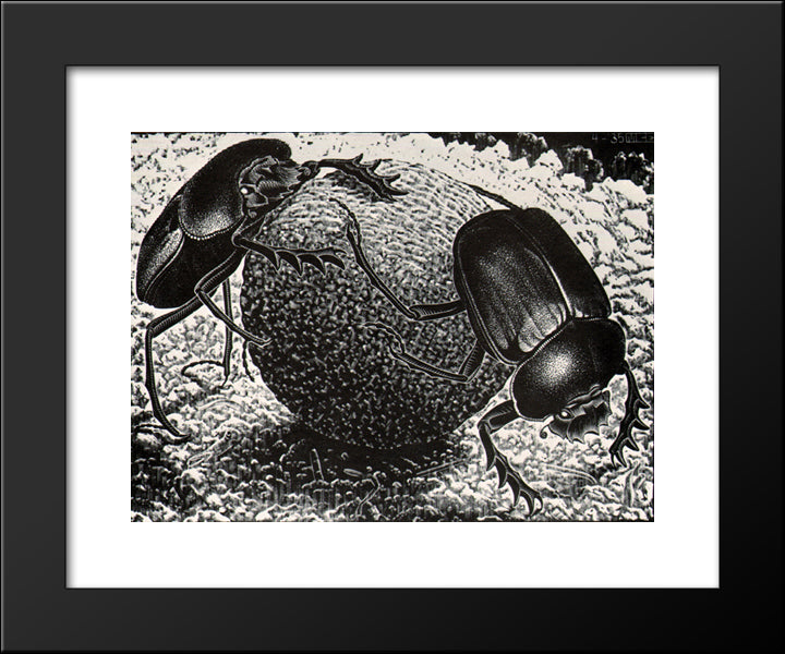 Scarebs 20x24 Black Modern Wood Framed Art Print Poster by Escher, M.C.