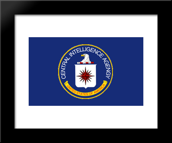 Cetral Intelligence Agency Flag 20x24 Black Modern Wood Framed Art Print Poster