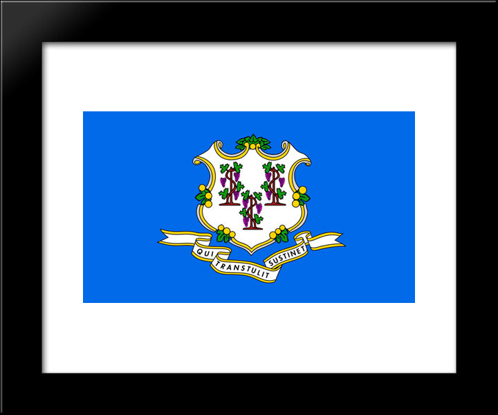 Connecticut State Flag 20x24 Black Modern Wood Framed Art Print Poster