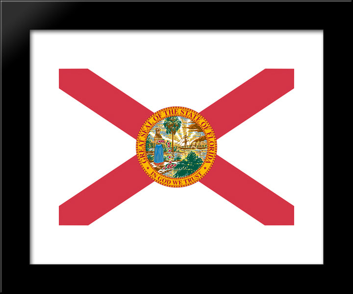 Florida State Flag 20x24 Black Modern Wood Framed Art Print Poster