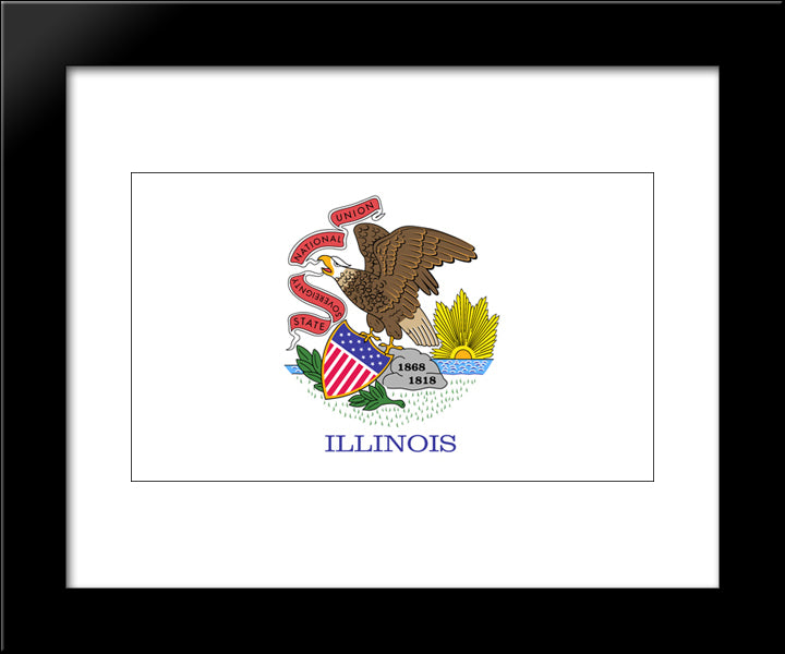 Illinois State Flag 20x24 Black Modern Wood Framed Art Print Poster