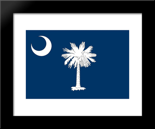 South Carolina State Flag 20x24 Black Modern Wood Framed Art Print Poster