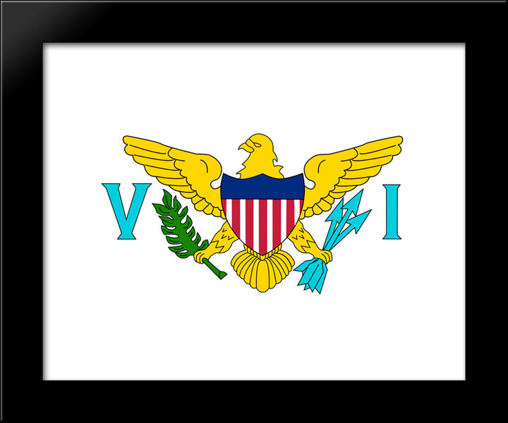 Virgin Islands Flag 20x24 Black Modern Wood Framed Art Print Poster