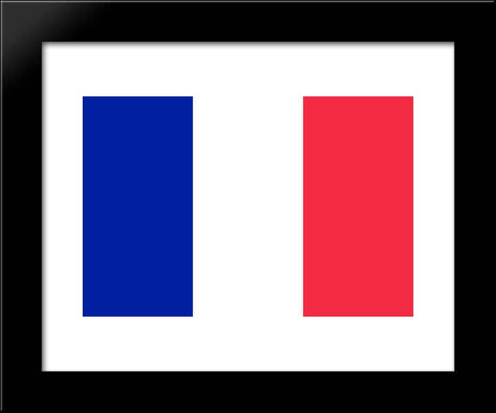 France Flag 20x24 Black Modern Wood Framed Art Print Poster