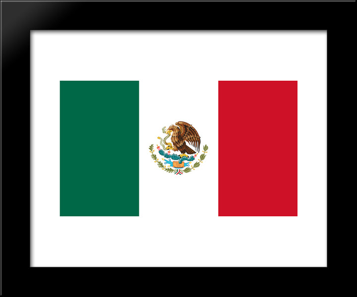 Mexico Flag 20x24 Black Modern Wood Framed Art Print Poster