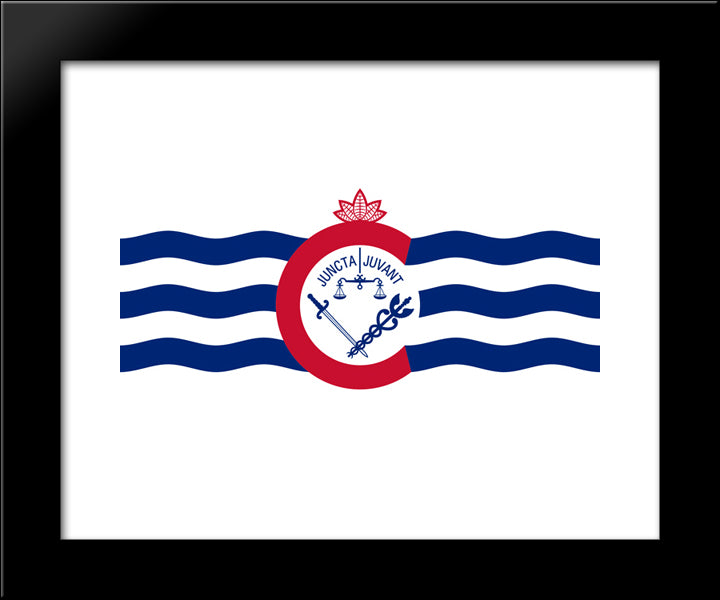 Cincinnati, Ohio Flag 20x24 Black Modern Wood Framed Art Print Poster