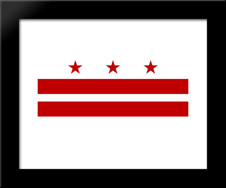 Washington D.C. Flag 20x24 Black Modern Wood Framed Art Print Poster
