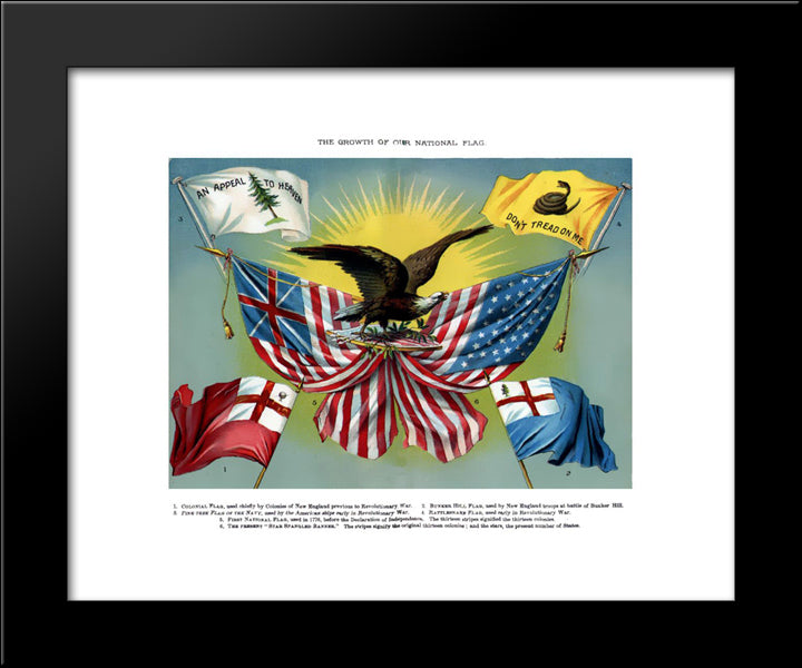 1885 United States Flag 20x24 Black Modern Wood Framed Art Print Poster